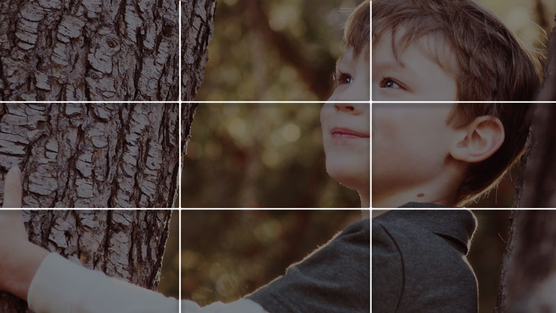 A visual representation of the Rule of Thirds
